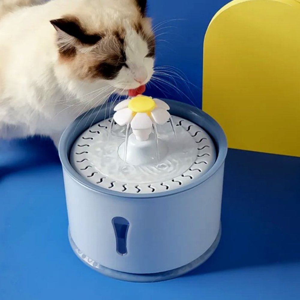 Pet Flower Fountain Success